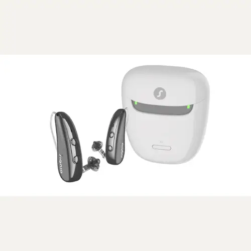 Rechargeable hearing aid with charging case