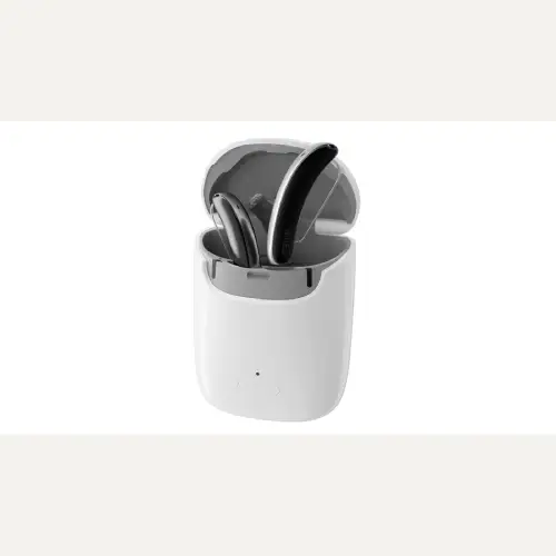 Rechargeable hearing aids in portable charger